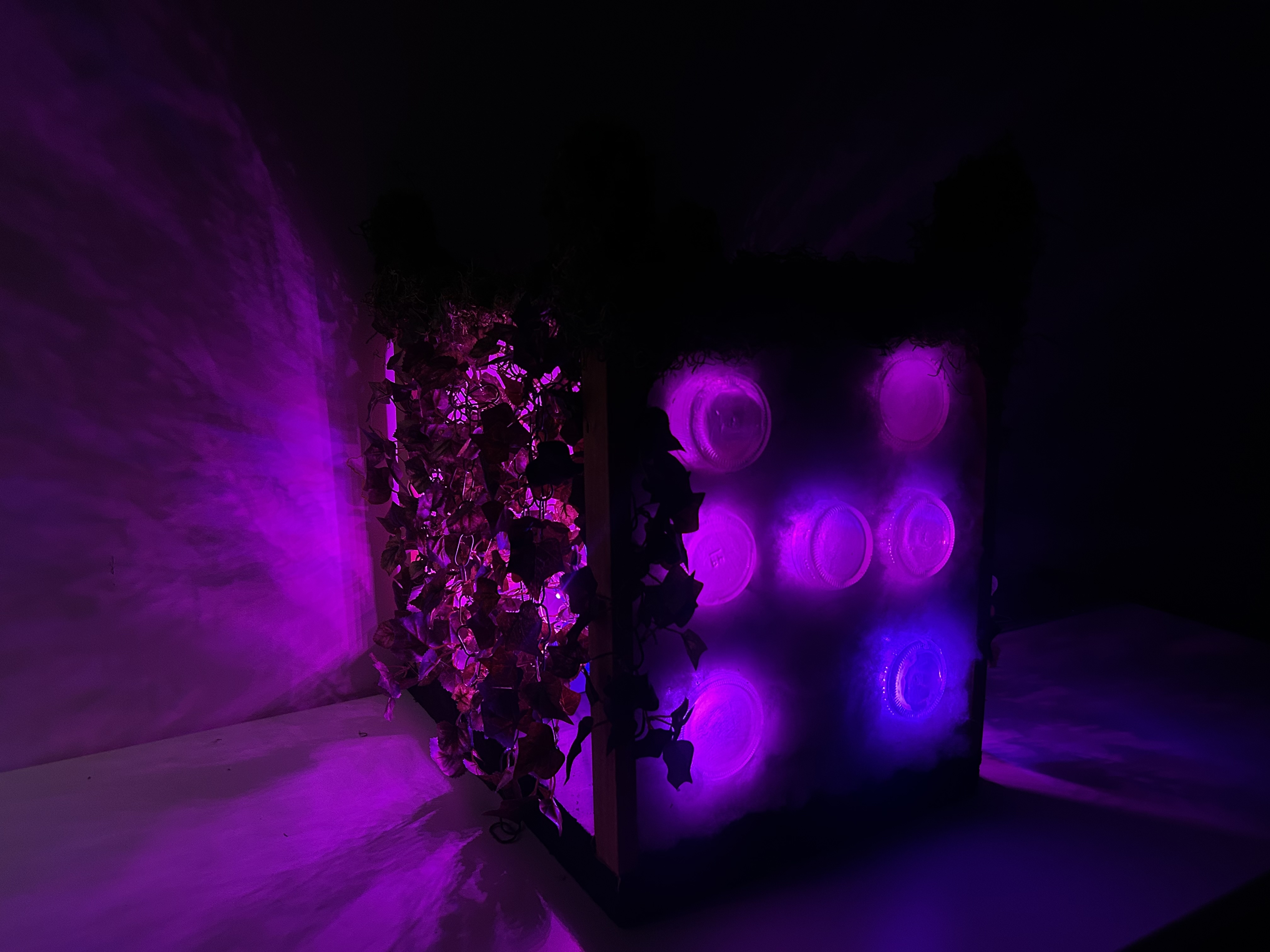 Final Installation