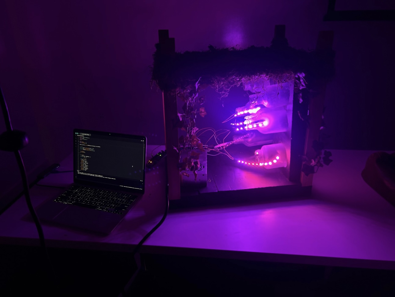 Final Installation